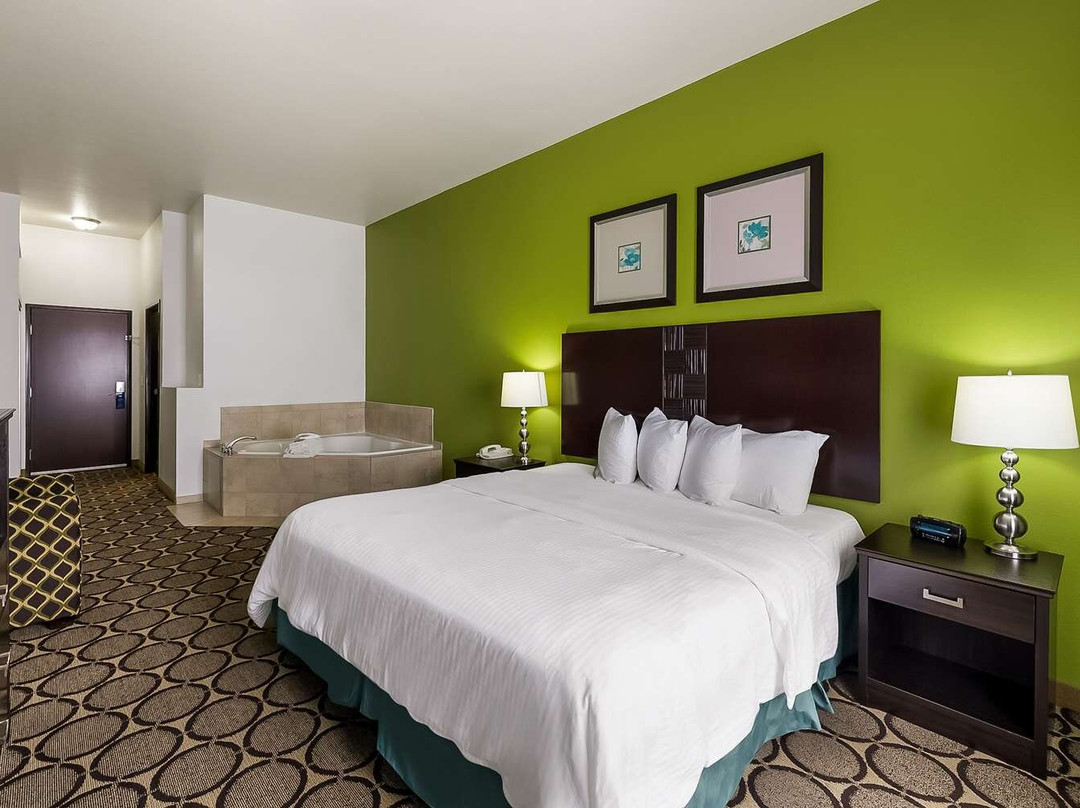 阿夸普力塔酒店住宿-Best Western Douglas Inn & Suites