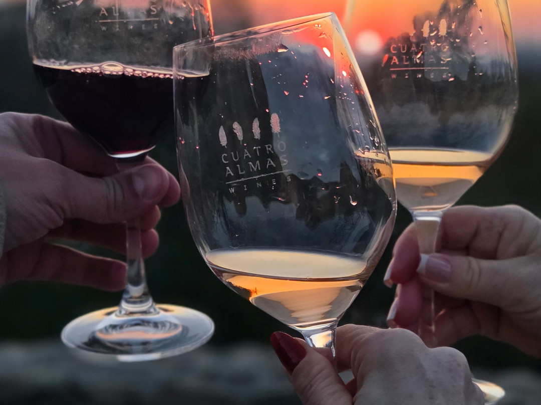 Cuatro Almas Wines-Buin必去景点