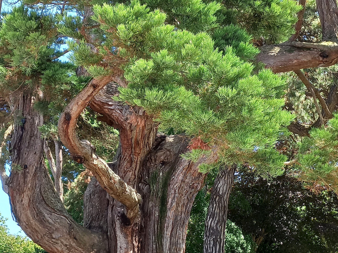 Parc De La Baleine-Luc-sur-Mer必去景点