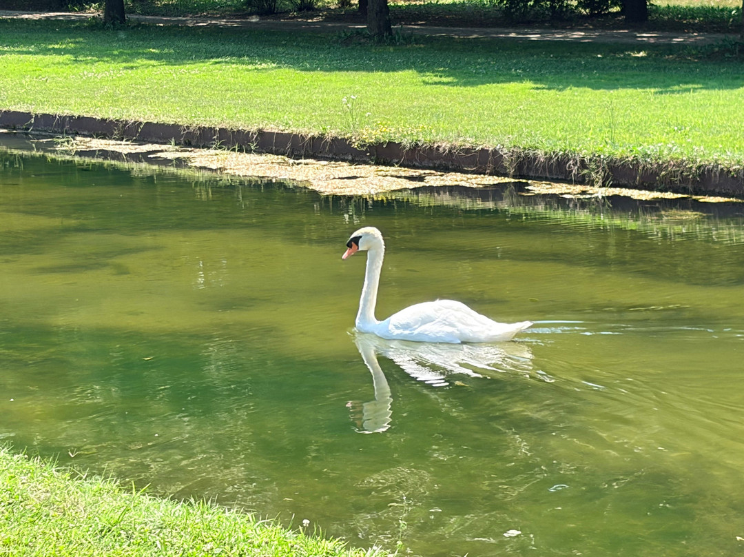 I Giardini Della Reggia