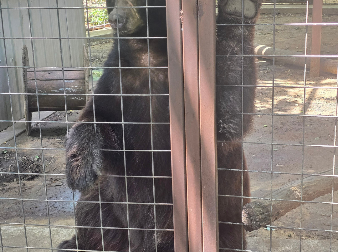 Safari Zoological Park-Caney必去景点