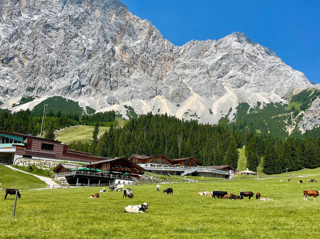 Hotel Zum Urviech -Erwachsenenhotel-主图