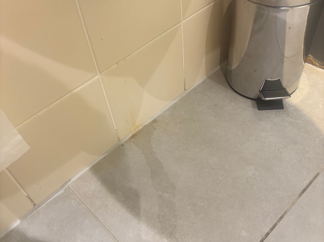 塔拉特马德龙酒店主图
