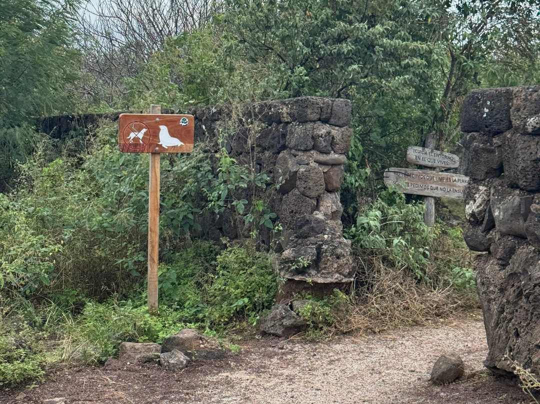Playa Punta Carola-圣克里斯托瓦尔必去景点