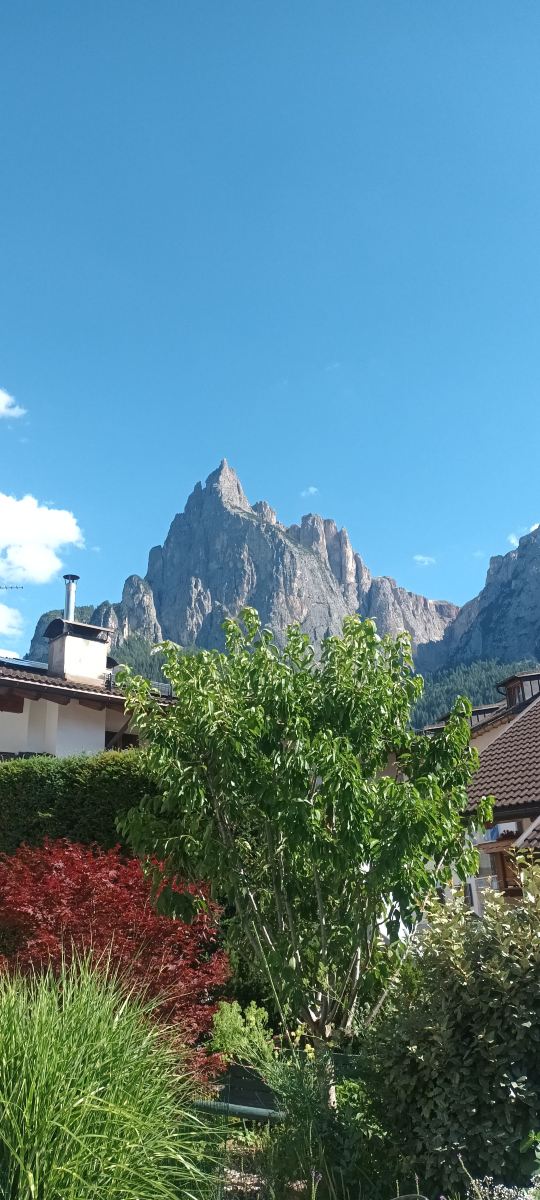 施瓦泽阿德勒酒店-旅行者