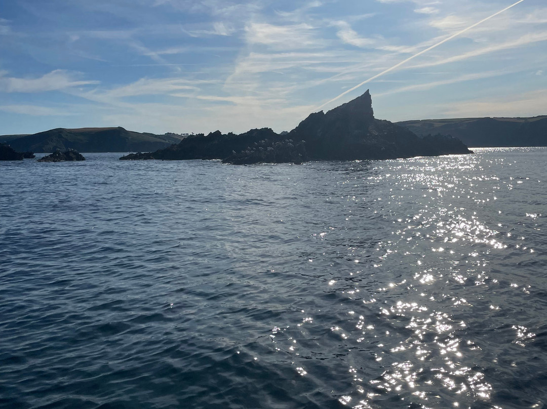 Mevagissey Rib Rides-梅瓦吉西必去景点