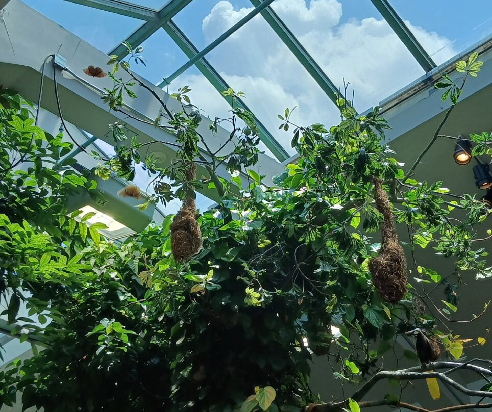北卡罗来纳自然科学博物馆-罗利必去景点