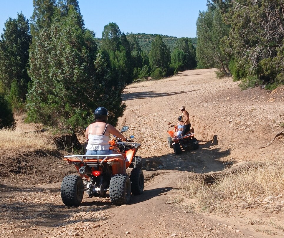 Salma Evasion Quad Hammamet-哈玛麦德必去景点