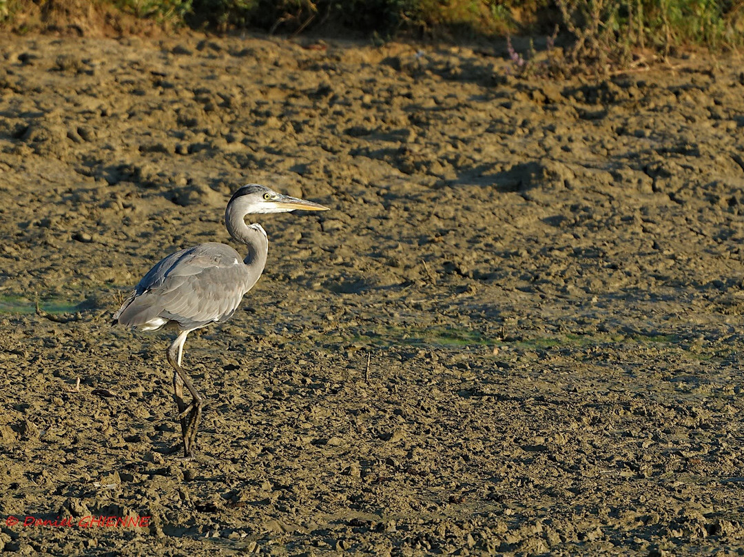 Domaine des Oiseaux-Mazeres必去景点