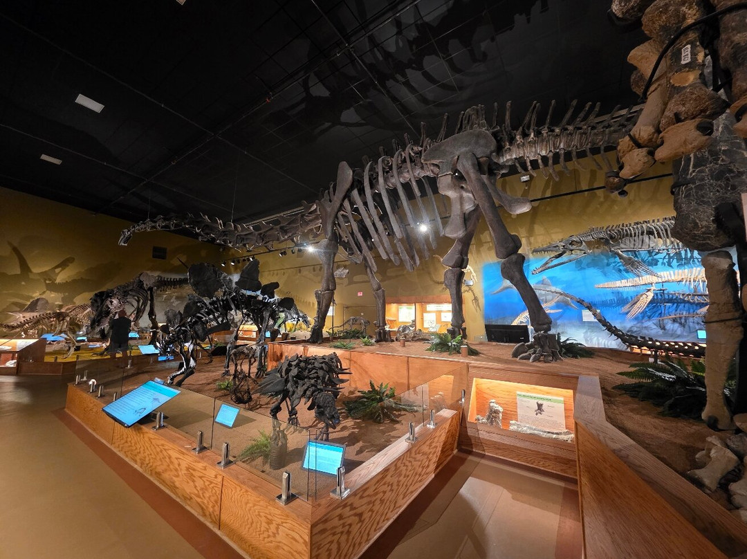 Wyoming Dinosaur Center-瑟莫波利斯必去景点