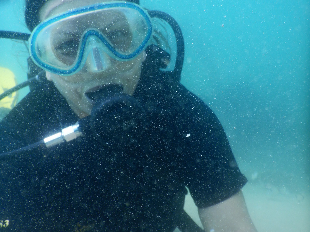 Yasmine Dive Center-哈玛麦德必去景点