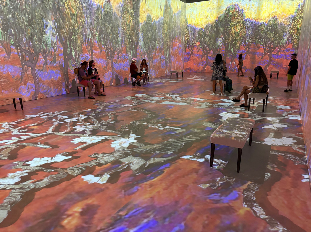 The Wizard Of Oz Museum And Van Gogh-可可海滩必去景点