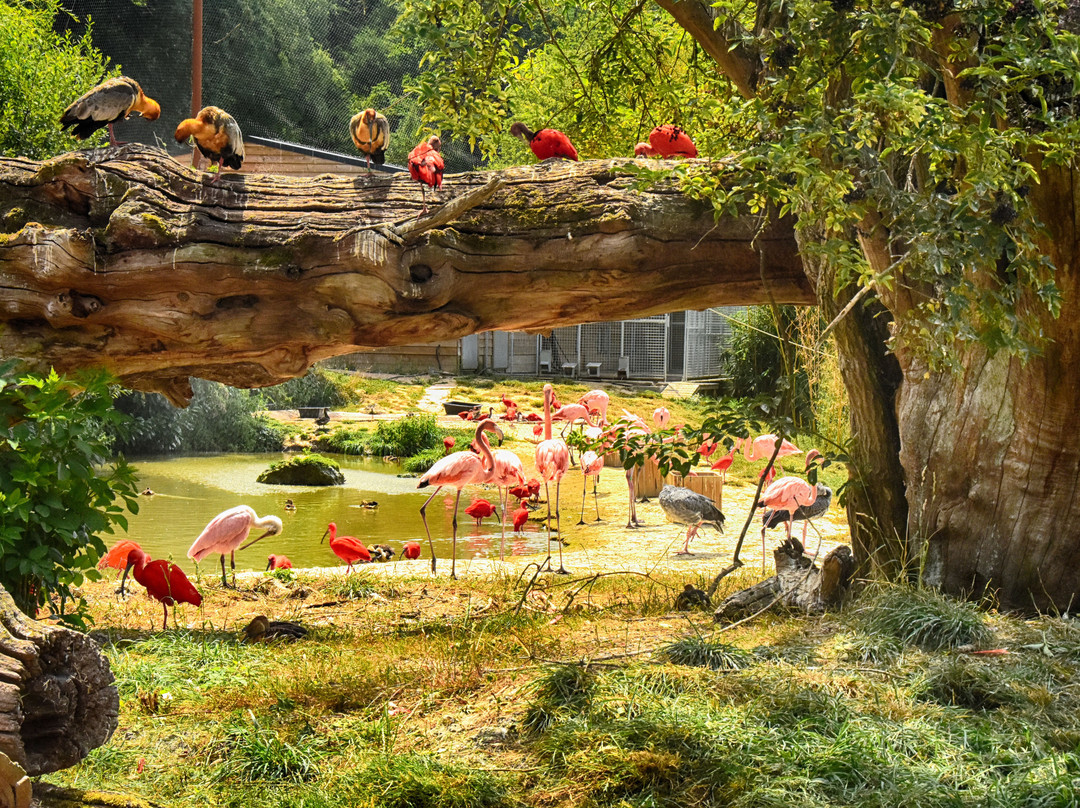 Parc Zoologique Cerza-Hermival-les-Vaux必去景点