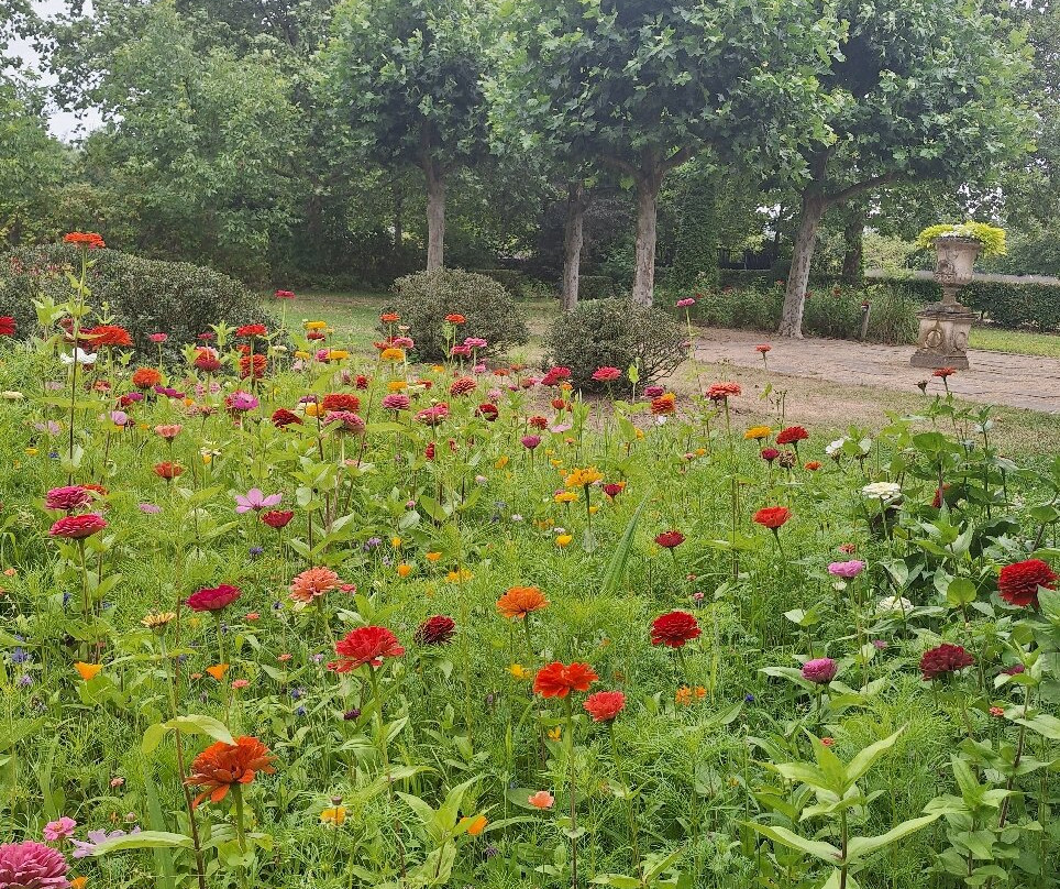 Rosenhaege Living Gardens-Winterswijk必去景点