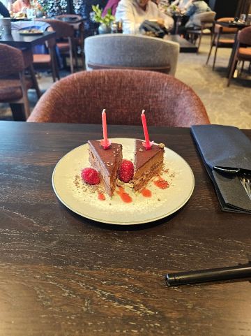 特罗姆瑟丽笙酒店-旅行者