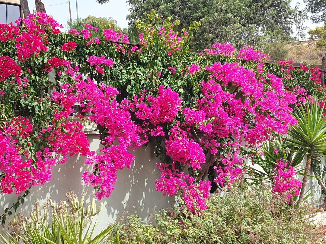 芬卡艾尔奥特罗住宿加早餐旅馆主图