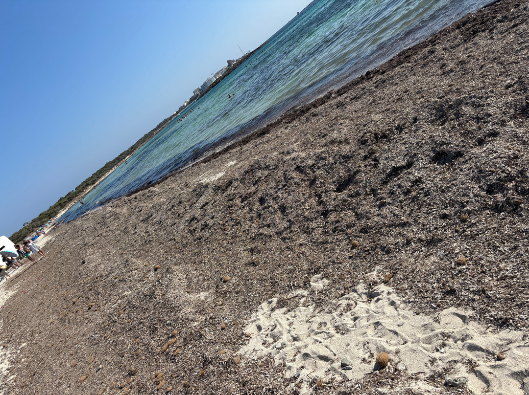 Platja d'es Trenc-Campos必去景点