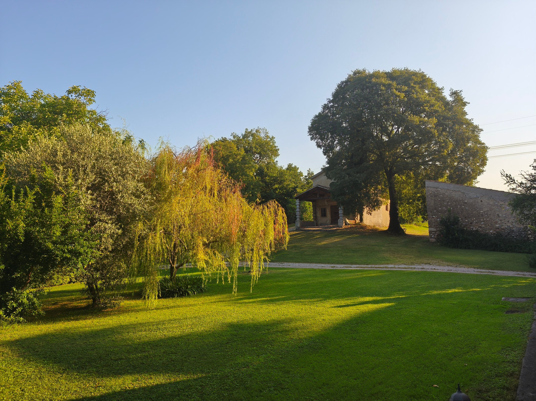Agriturismo Palazzo di Monteoliveto主图