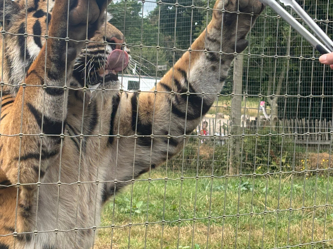 Manor Wildlife Park-St. Florence必去景点