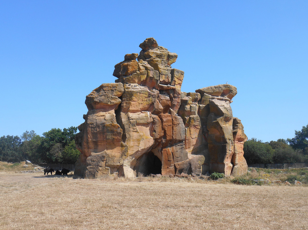 Planète Sauvage-Port-Saint-Pere必去景点