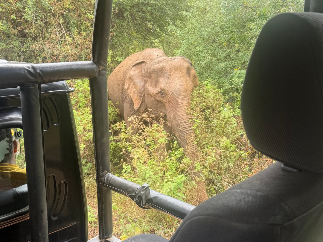 Prasanna Safari Udawalawe-乌达瓦拉维国家公园必去景点