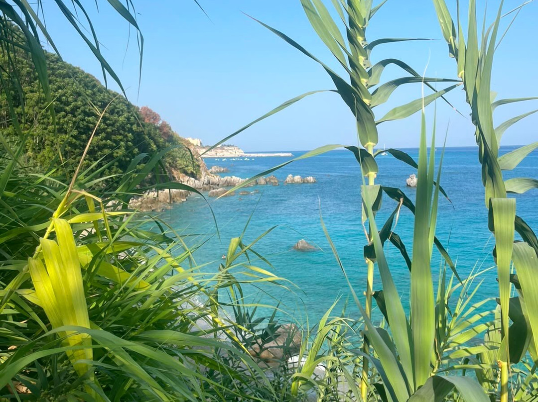 Spiaggia Michelino-Parghelia必去景点