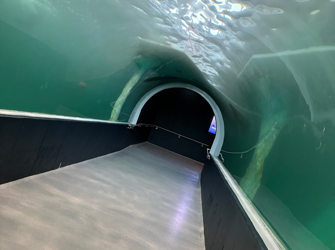 北极星水族馆-特罗姆瑟必去景点