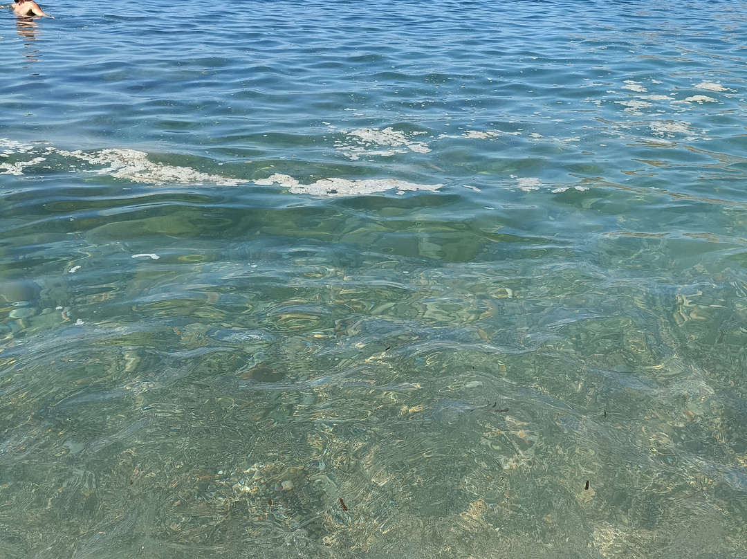 Playa El Portus-卡塔赫纳必去景点