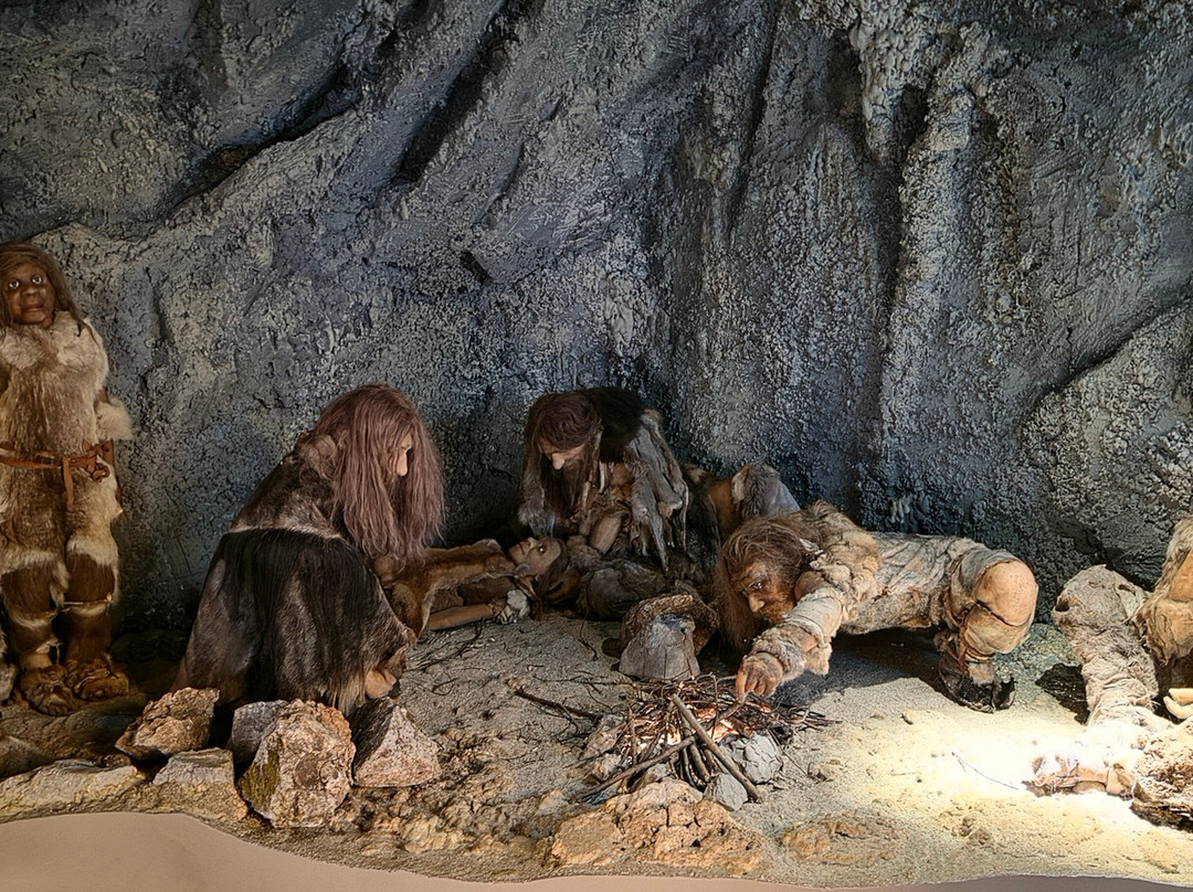 Expo Jama Kras-波斯托伊纳必去景点