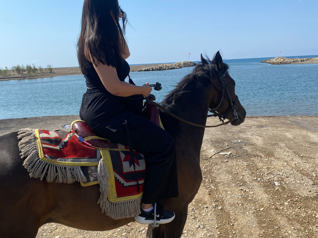 Belek Safari | Horse Riding Tour-Kumkoy必去景点