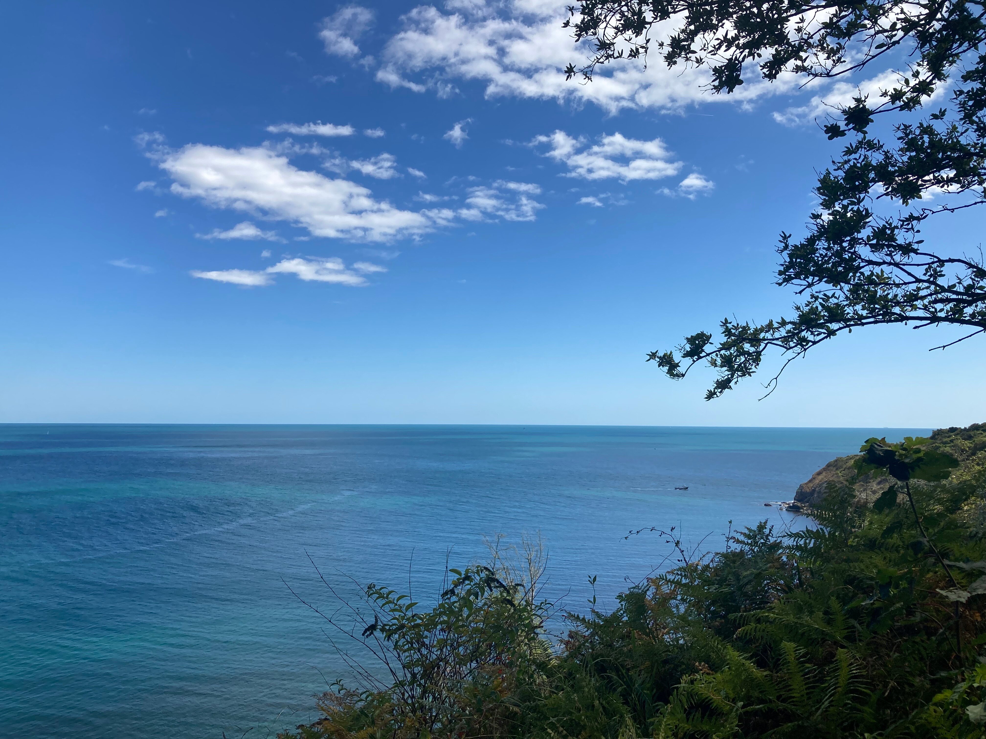 Swanage Haven Boutique Guest House-旅行者