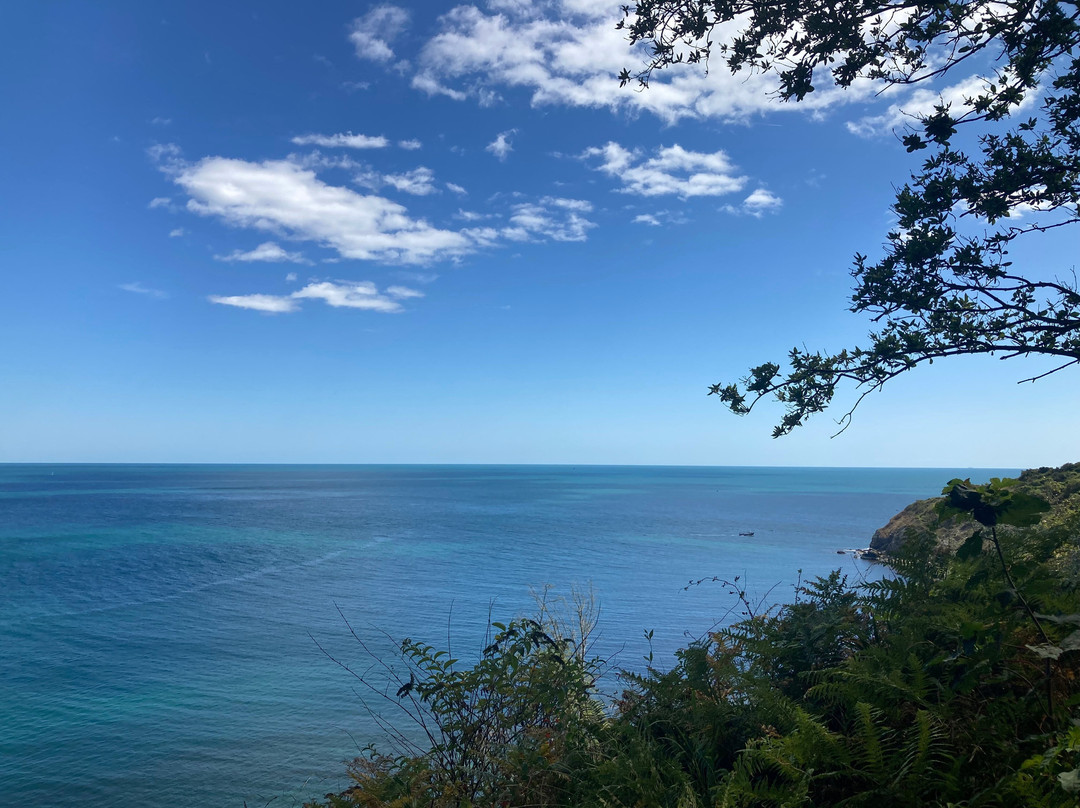 Swanage Haven Boutique Guest House主图