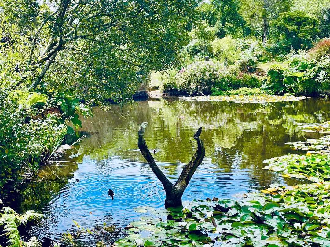 Tanglewood Wild Garden-彭赞斯必去景点