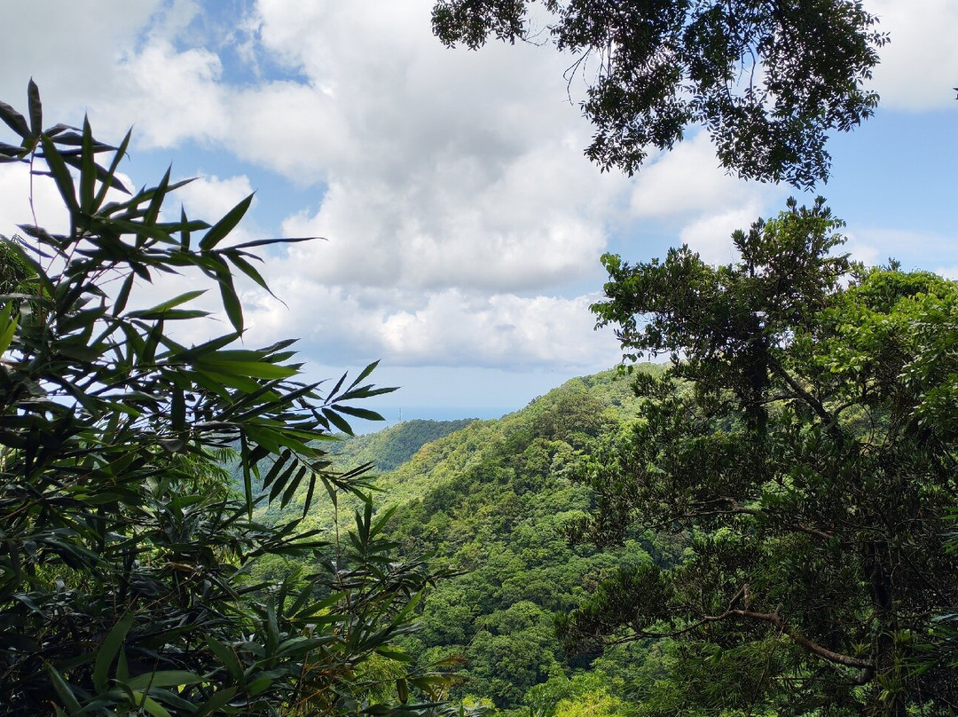 Jardin de Balata-法兰西堡必去景点