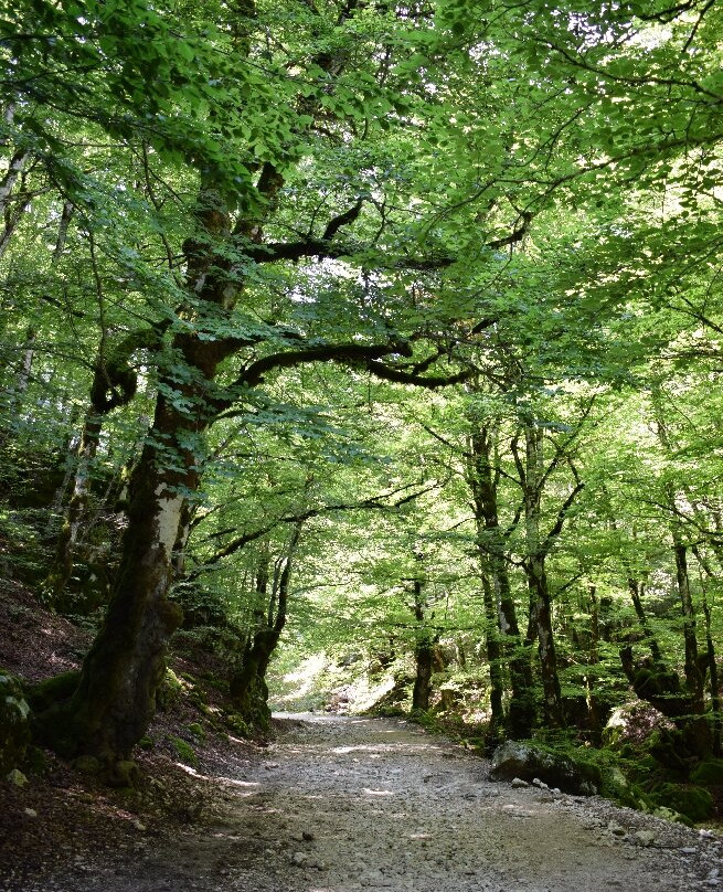 Bosco della difesa-Pescasseroli必去景点