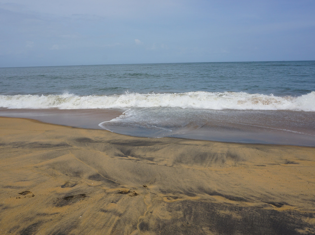 Meiveda Ayurveda Beach Resort主图