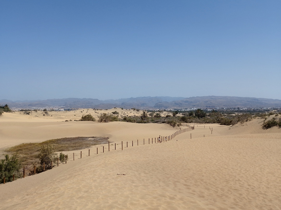 Reserva Natural Especial de Las Dunas de Maspalomas-马斯帕洛马斯必去景点