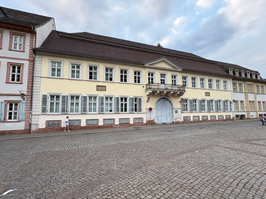 Carl's Square (Karlsplatz)-海德尔堡必去景点