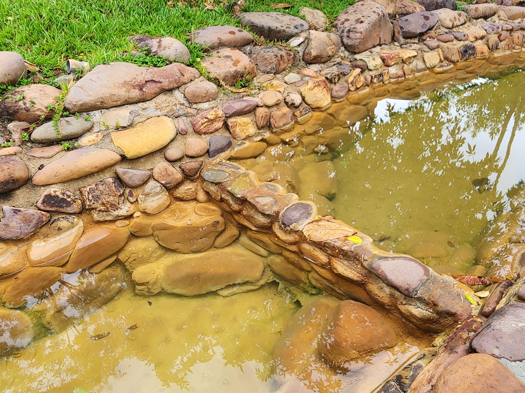 Alba Wellness Valley by Fusion主图
