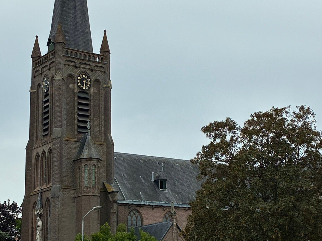 Sint-Cunerakerk-Nibbixwoud必去景点