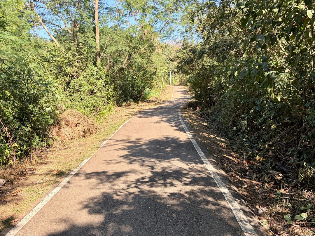 Parque Bernardo Berneck-Varzea Grande必去景点