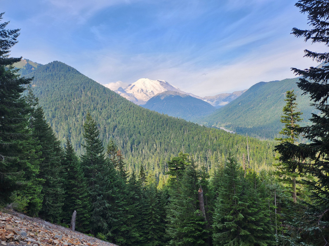 Mount Rainier National Park-阿什福德必去景点