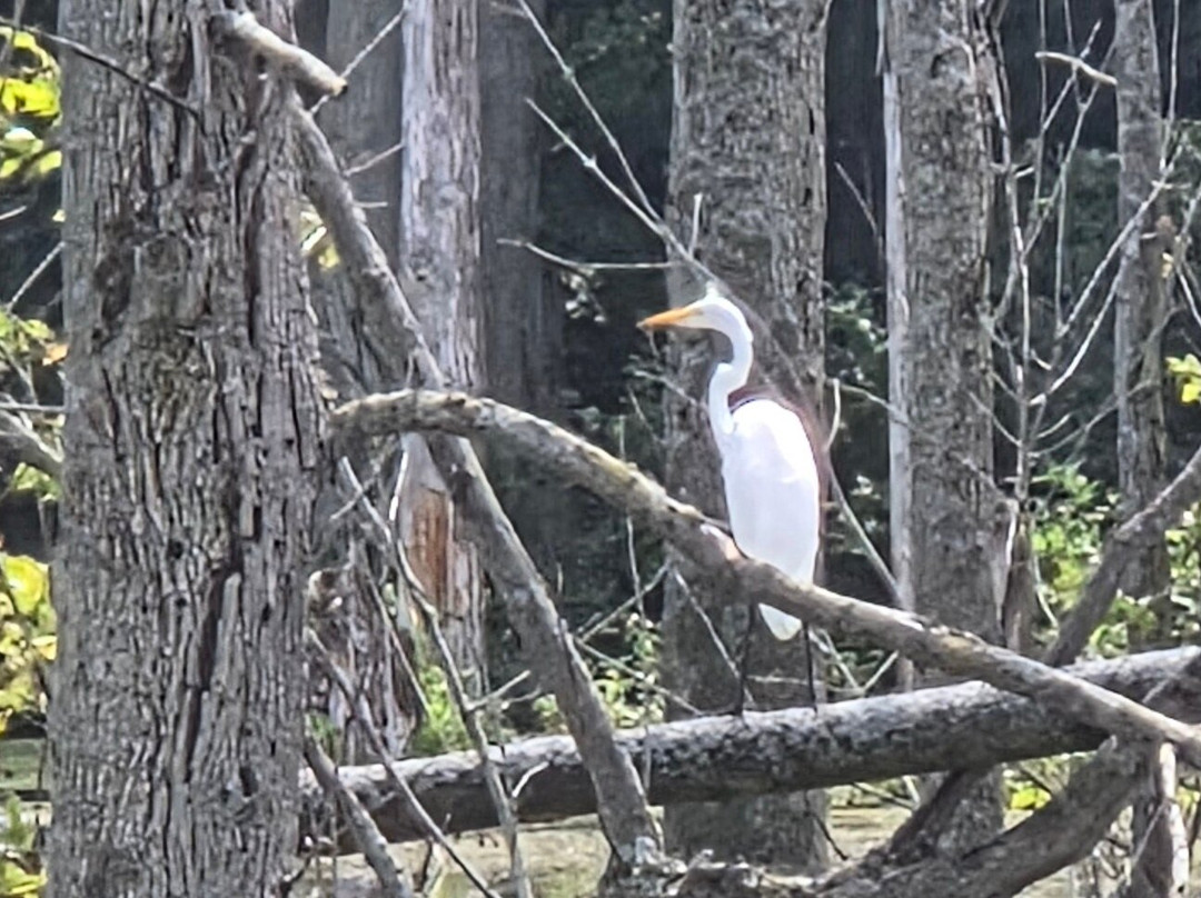 Iroquois National Wildlife Refuge-Basom必去景点