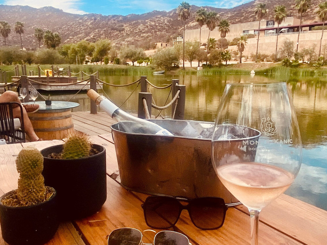 Monte Xanic Bodega Vinícola-Valle de Guadalupe必去景点