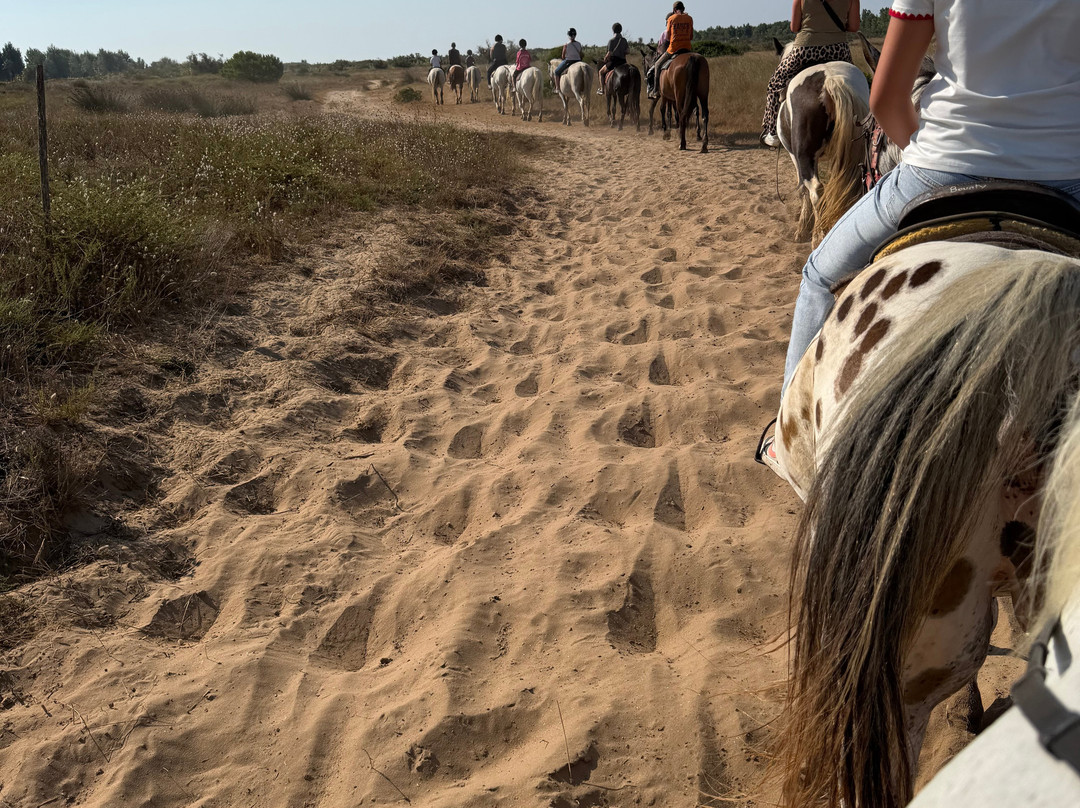 Ranch La Camargue-Marseillan Plage必去景点