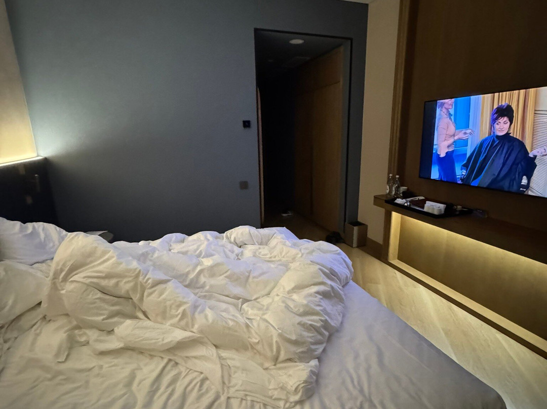 Radisson Blu Hotel, Almaty Airport主图