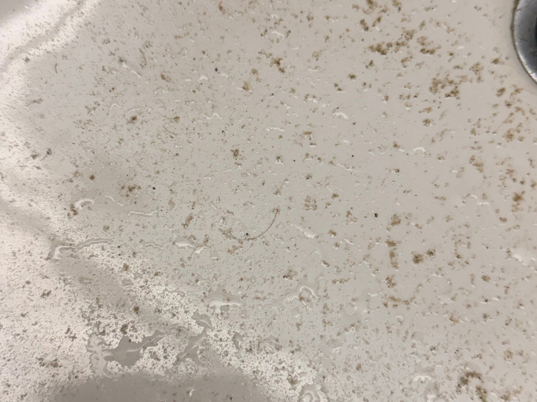 辛辛那提机场凯悦嘉轩酒店主图