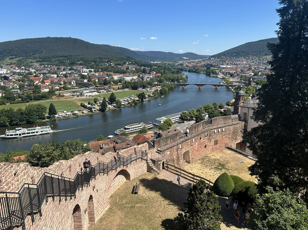 Miltenberg Castle Museum-米尔腾贝格必去景点