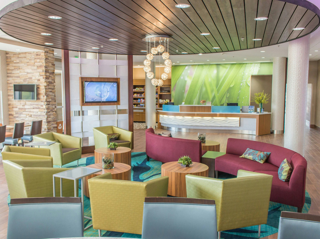 Bishopville酒店住宿-SpringHill Suites by Marriott Sumter