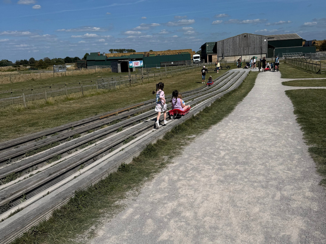 Farmer Teds Adventure Farm-Ormskirk必去景点
